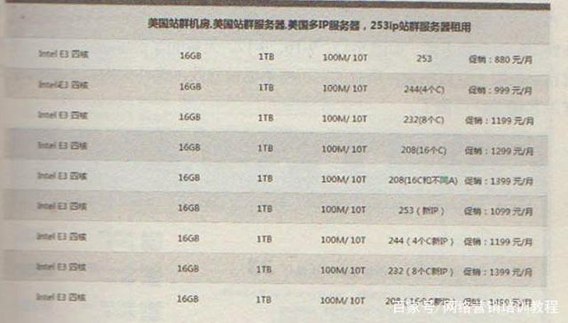 站群系统的崛起:助力企业网络营销新高度
